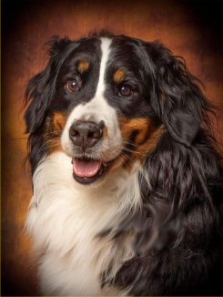 Oud en Nieuw 2025 / 2026